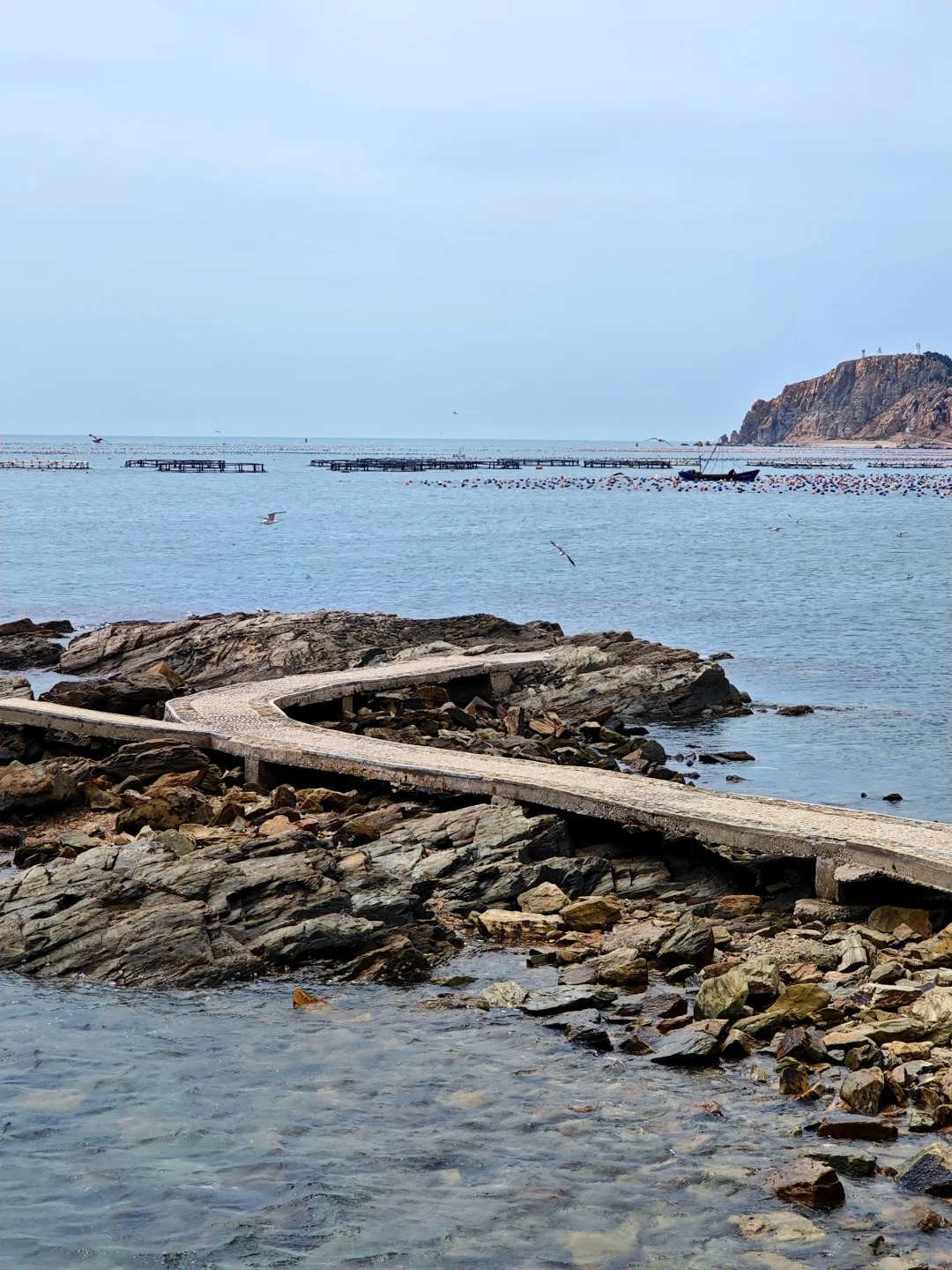 砣矶岛亲子旅游攻略