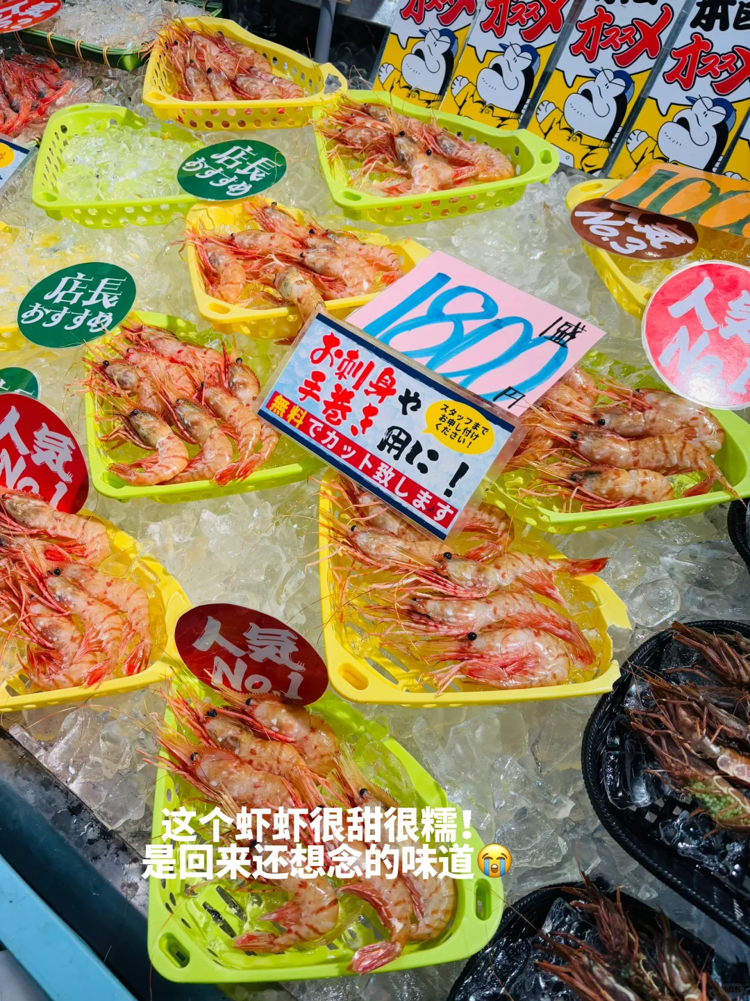 白滨｜J人精确到分钟的保姆级旅游攻略🔥