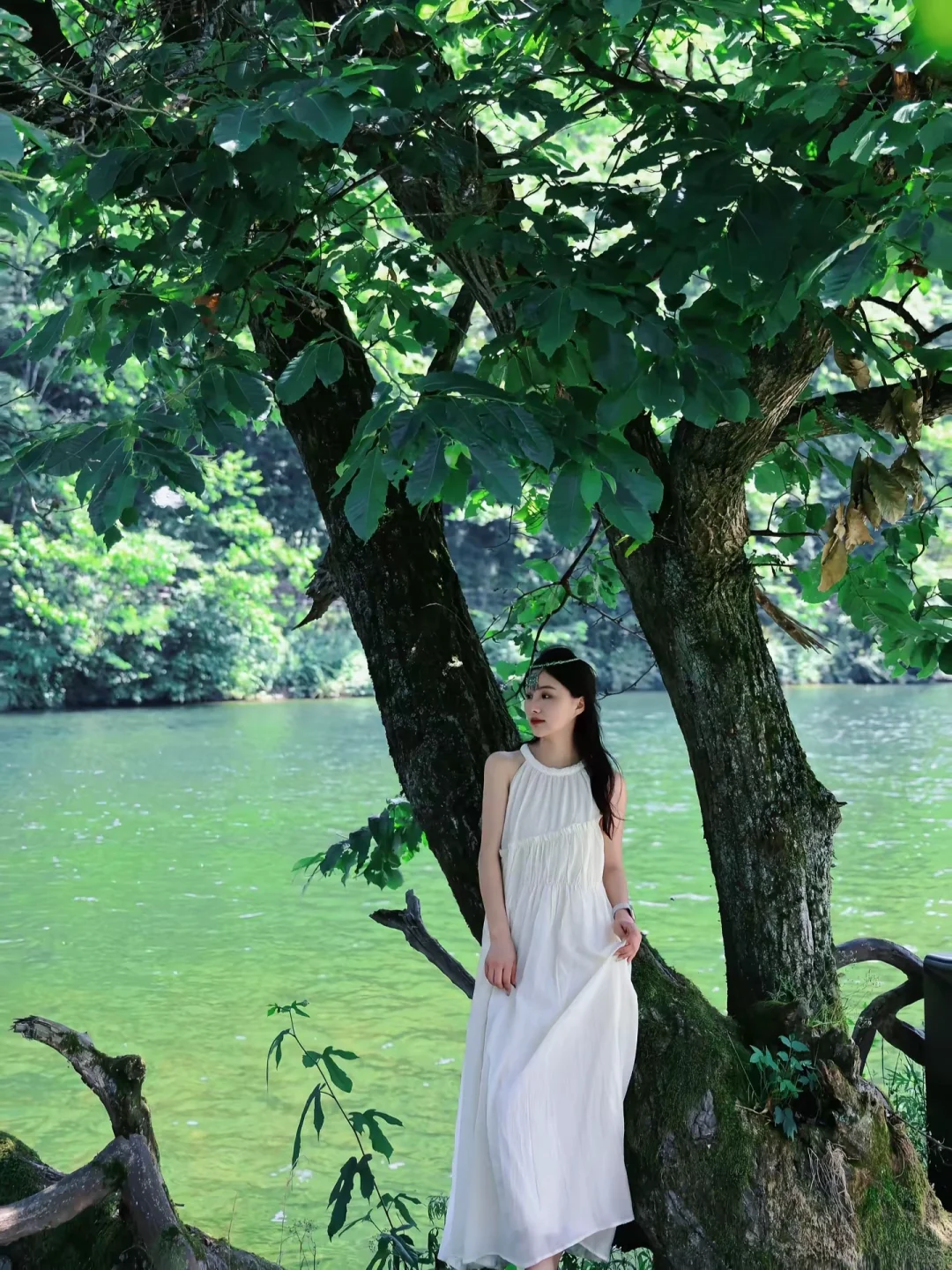 陇南五一出行攻略 | 被严重低估的陇上江南