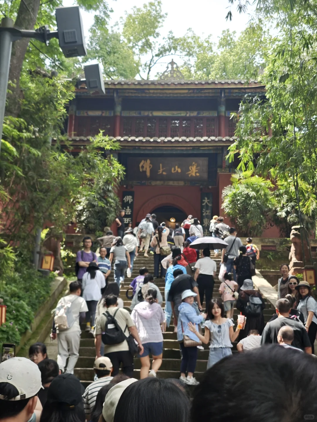 五一乐山大佛实况：人从众众众众众