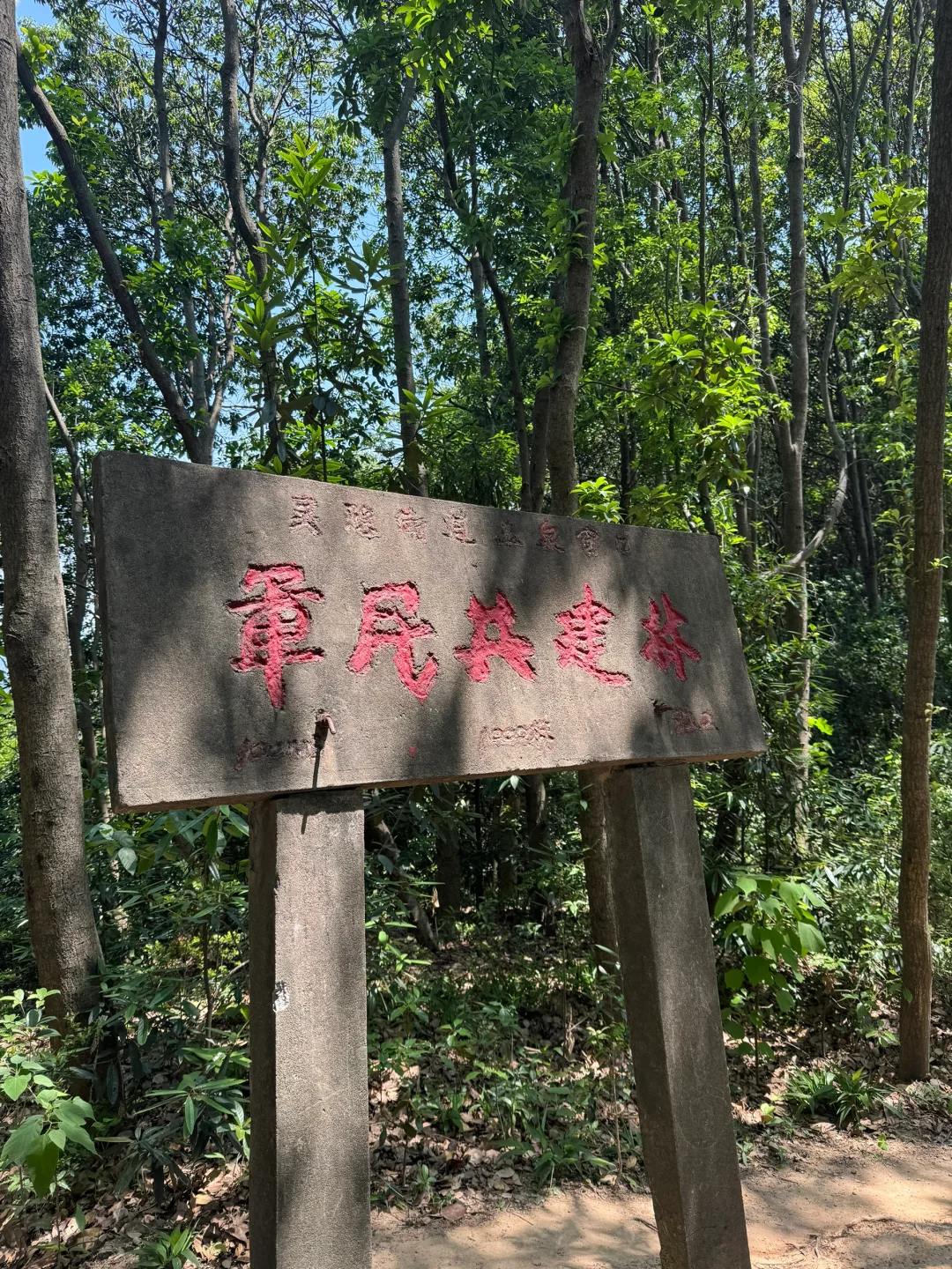 暴走西湖右爱心💗最后还能赶上西湖日落🌄