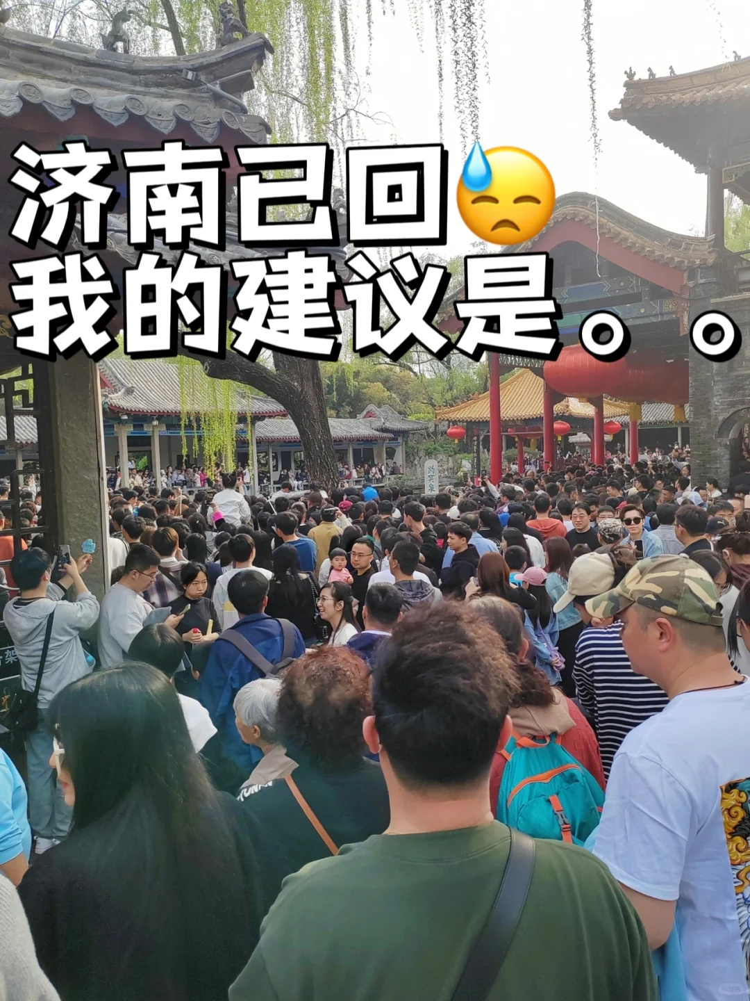 4.29济南已回😓我的真实建议是。。