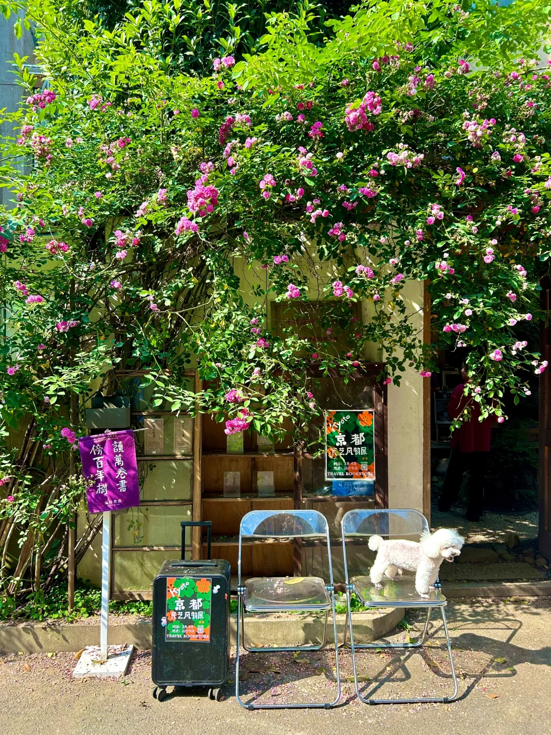 五一在南京不想人挤人！快去这9️⃣个小众景点