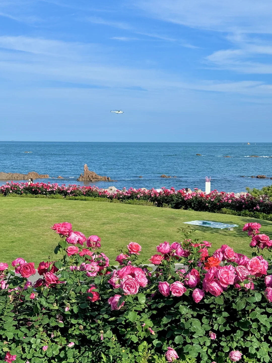 青岛！！听劝没去小麦岛！！这里美哭了😭