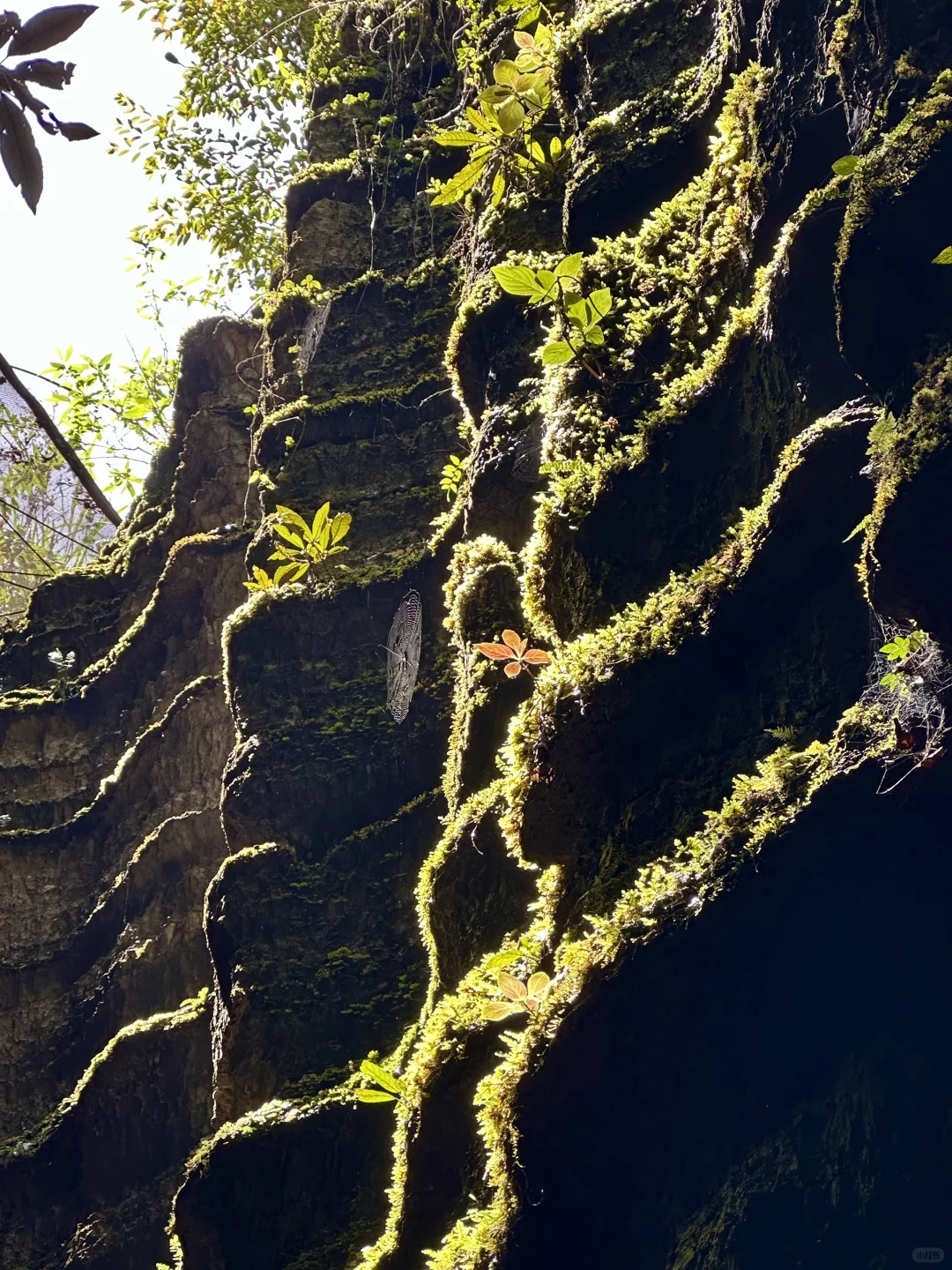 恩施旅游攻略！