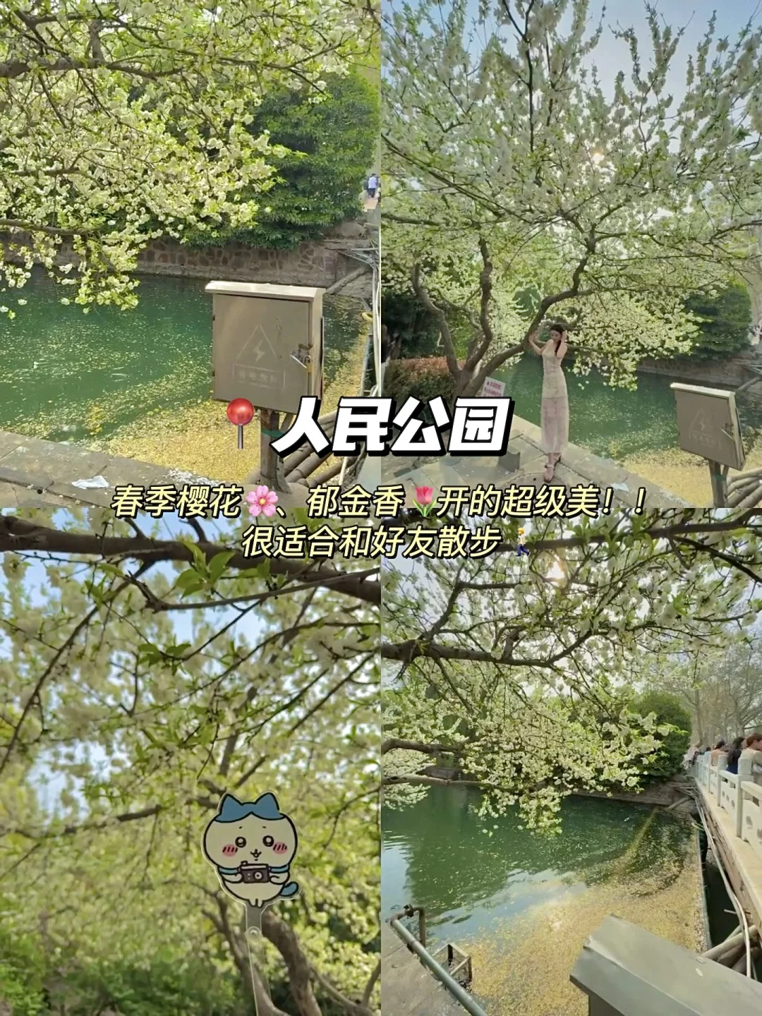 郑州📍适合citywalk16个地方(五一最终版‼️