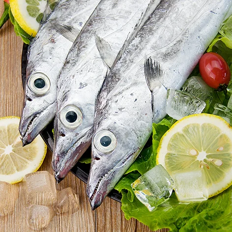 🌊 舟山旅游攻略｜必玩景点+美食+路线