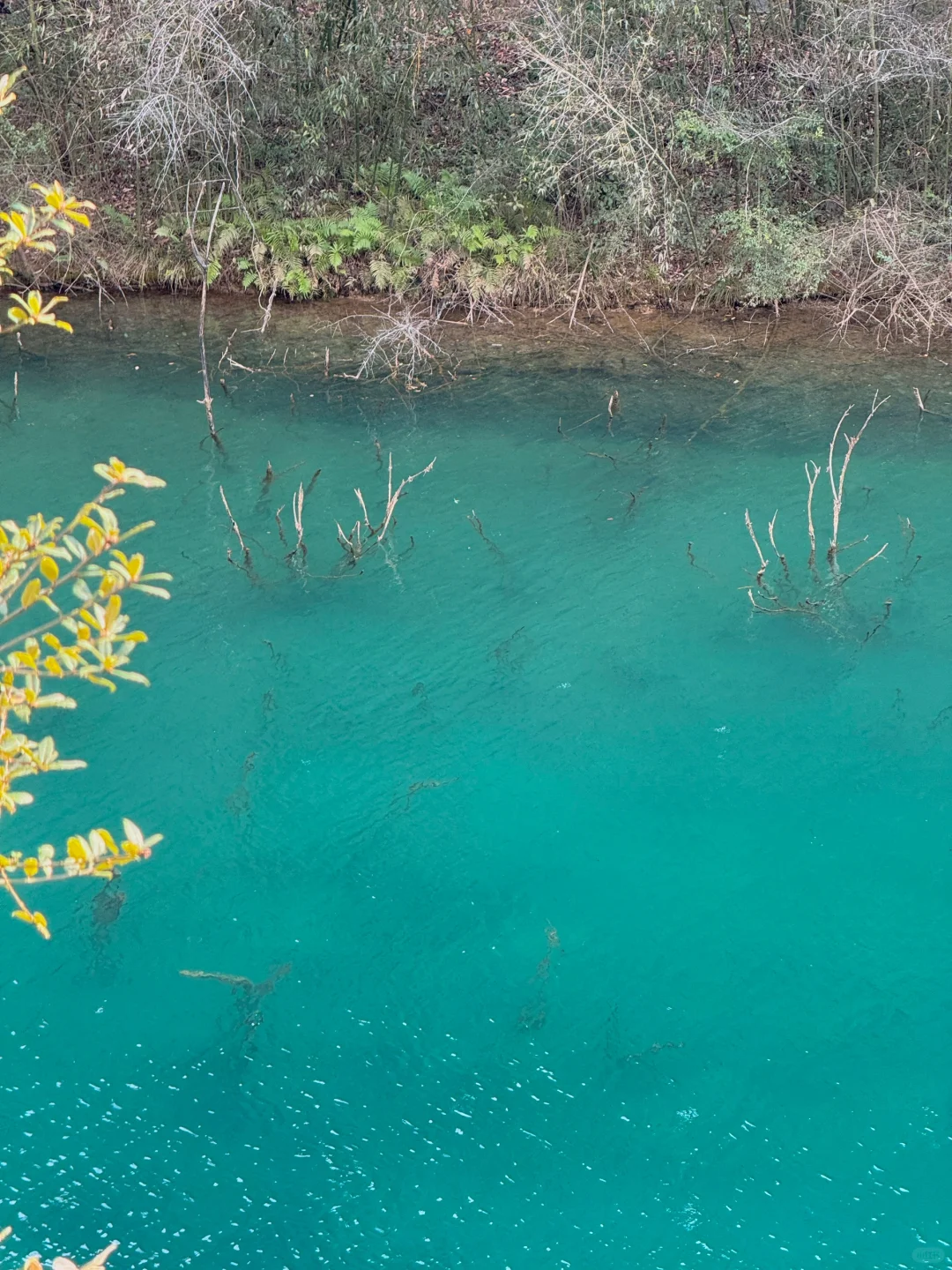 十堰你糊涂啊😯“小九寨沟”这么美不宣传