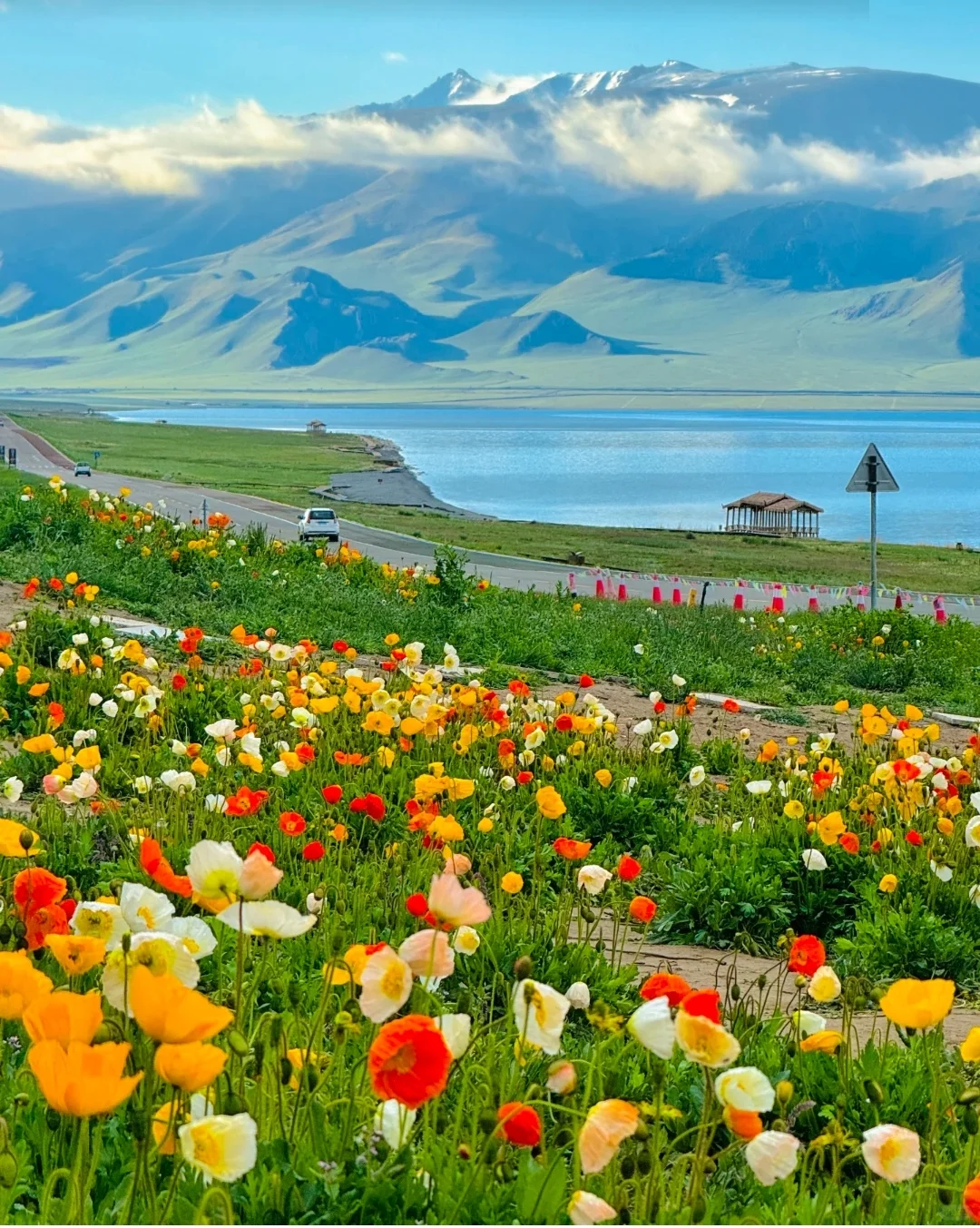 答应我❗这辈子一定不要放弃去新疆🐮🐑