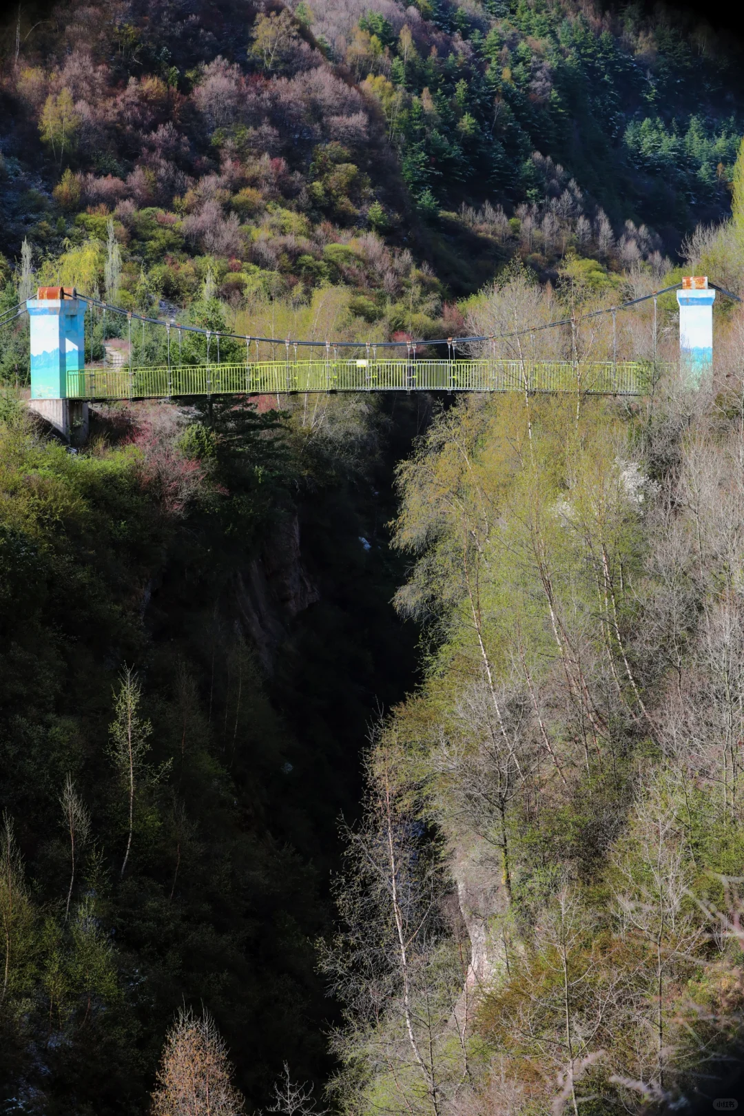 ❄️五月飞雪探秘记 | 渭源天井峡