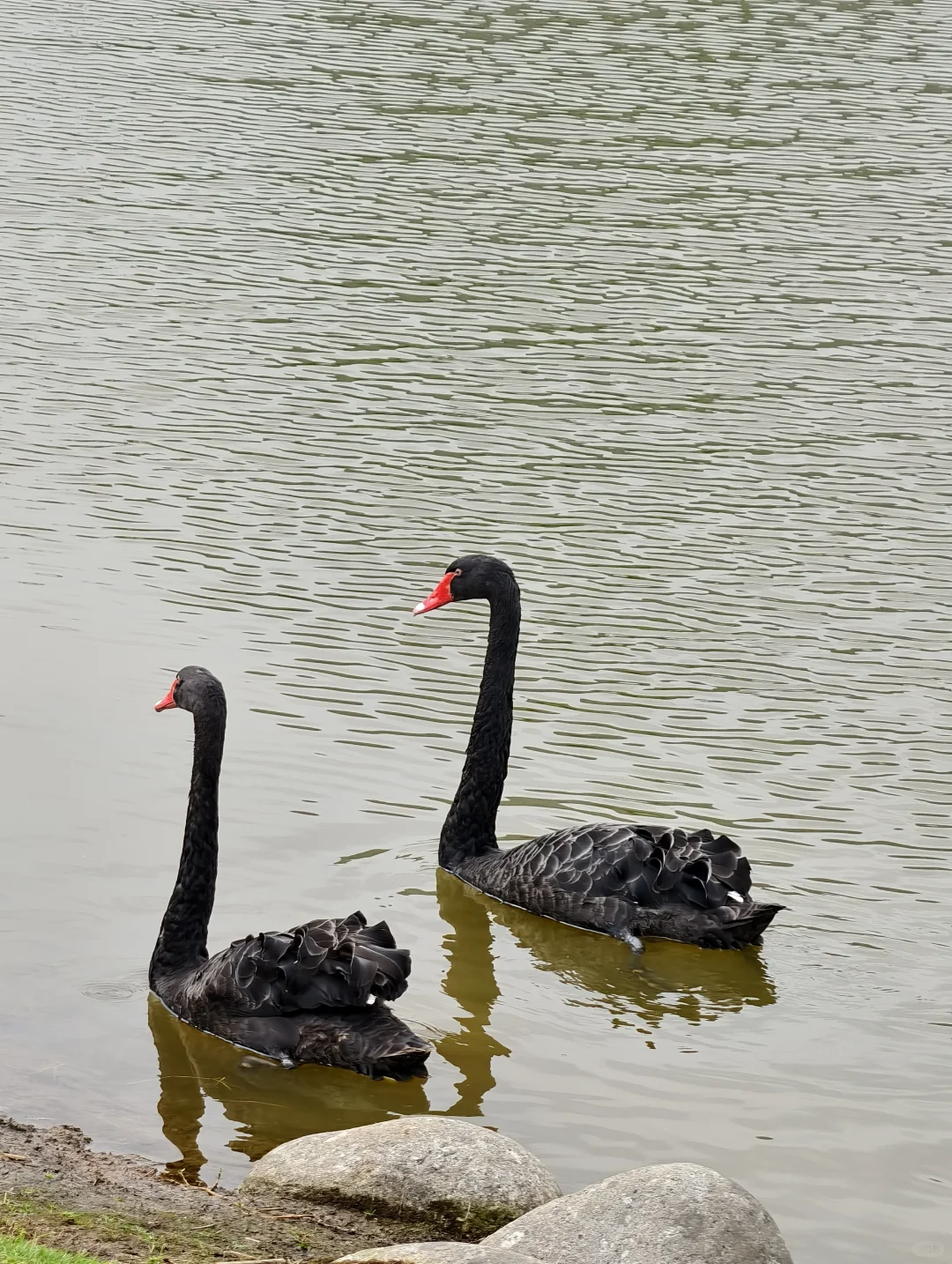 这里不是瑞士,不是新西兰,这里是桂海晴岚