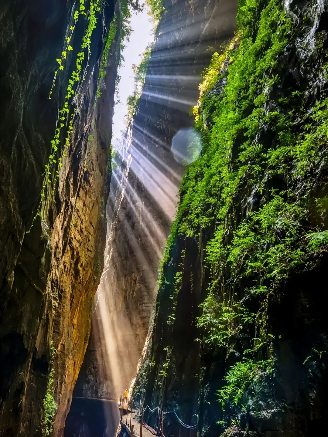 渝东北 ｜武陵山大裂谷2日自驾游🚗