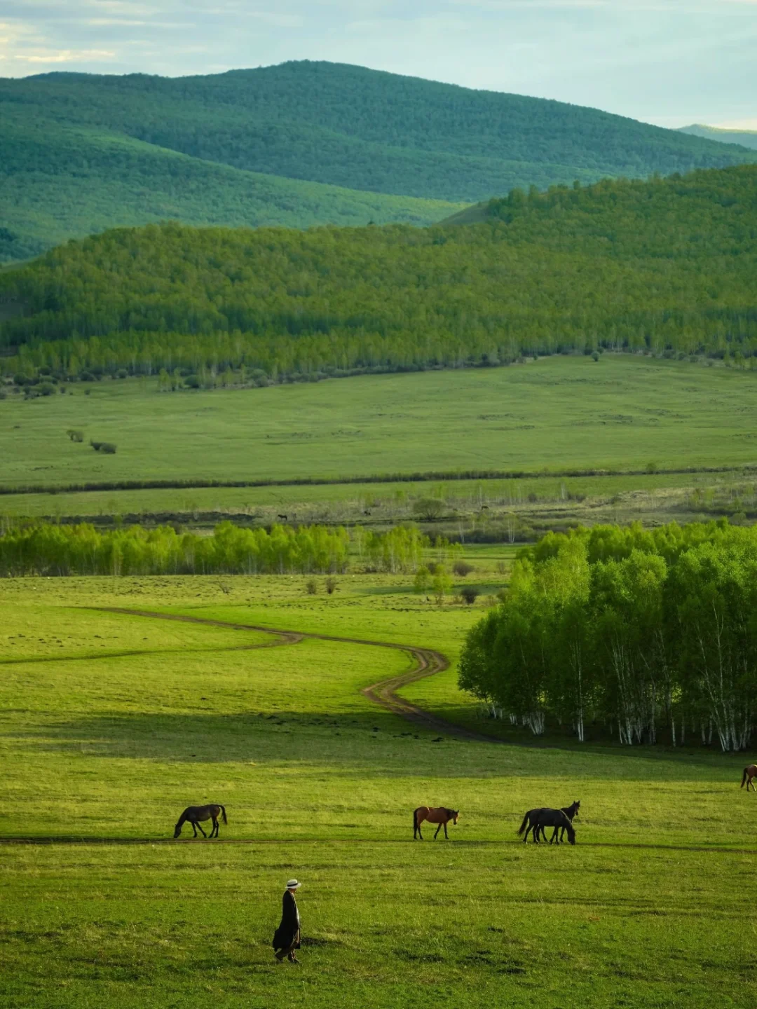 在内蒙古！！果然好看的地方都是免费的……