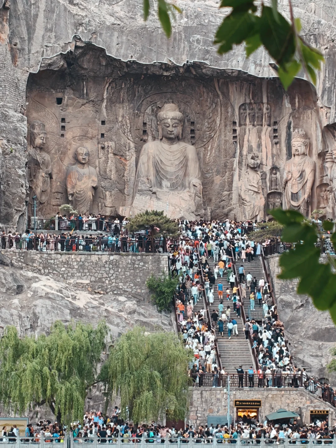 5.2实况，今天的龙门石窟🈶十万人！
