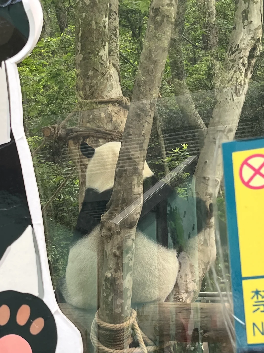 五一贵州旅游攻略