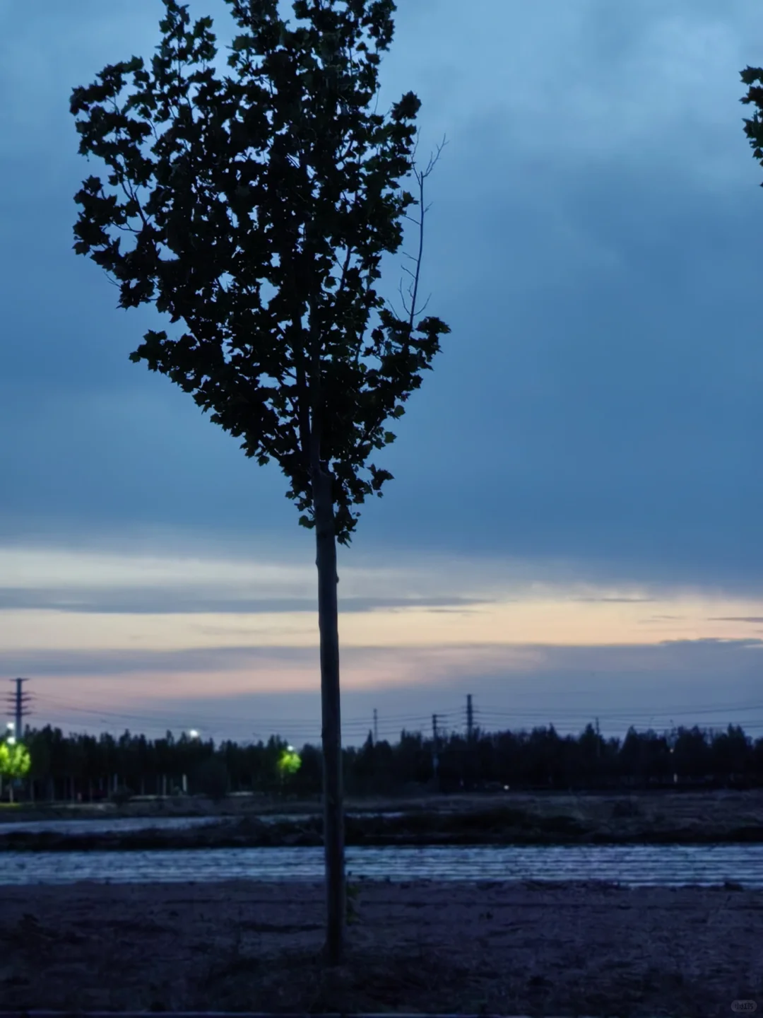 🌳 清风湖公园旅游攻略