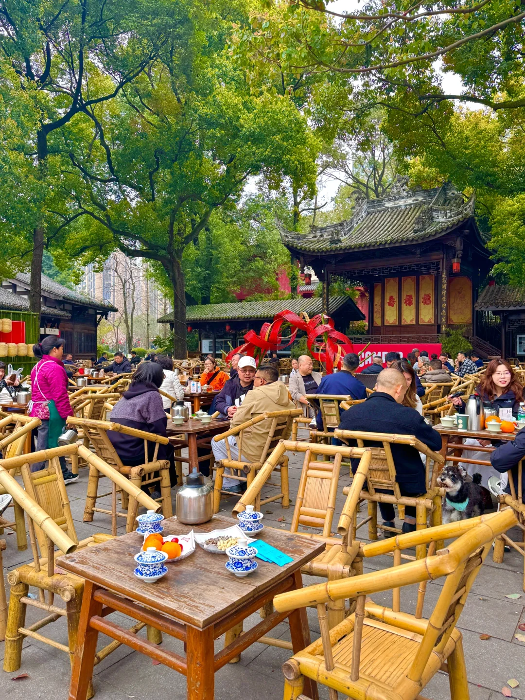 终于有人把成都三日游讲清楚了😅😅😅