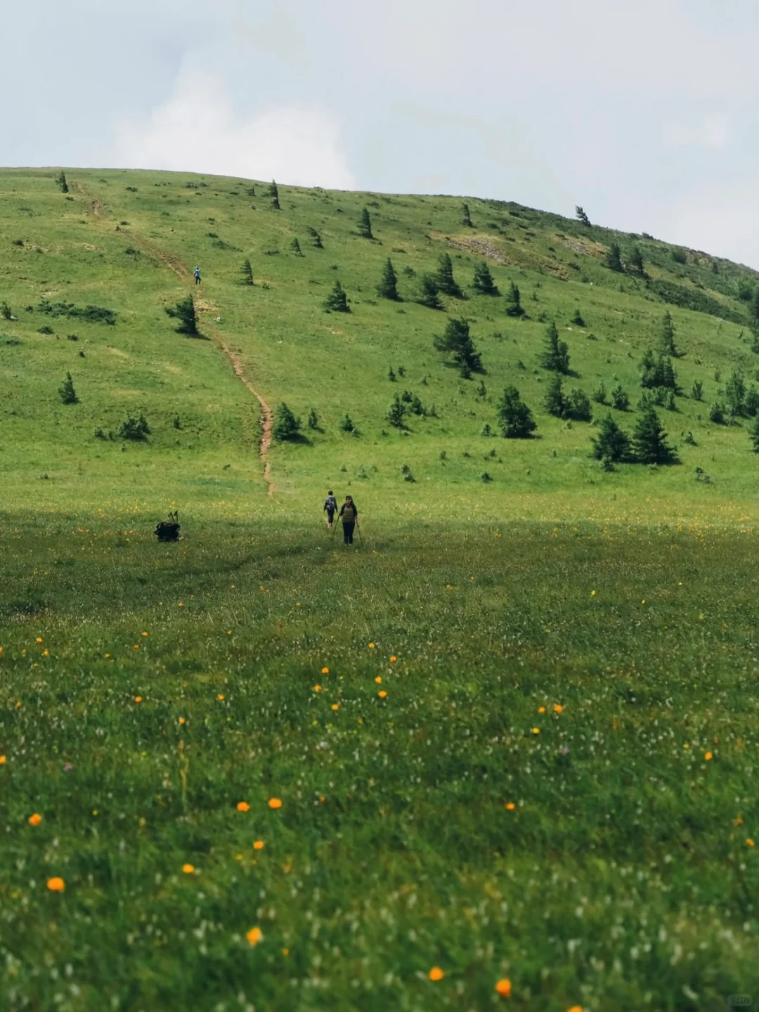 在内蒙古！！果然好看的地方都是免费的……
