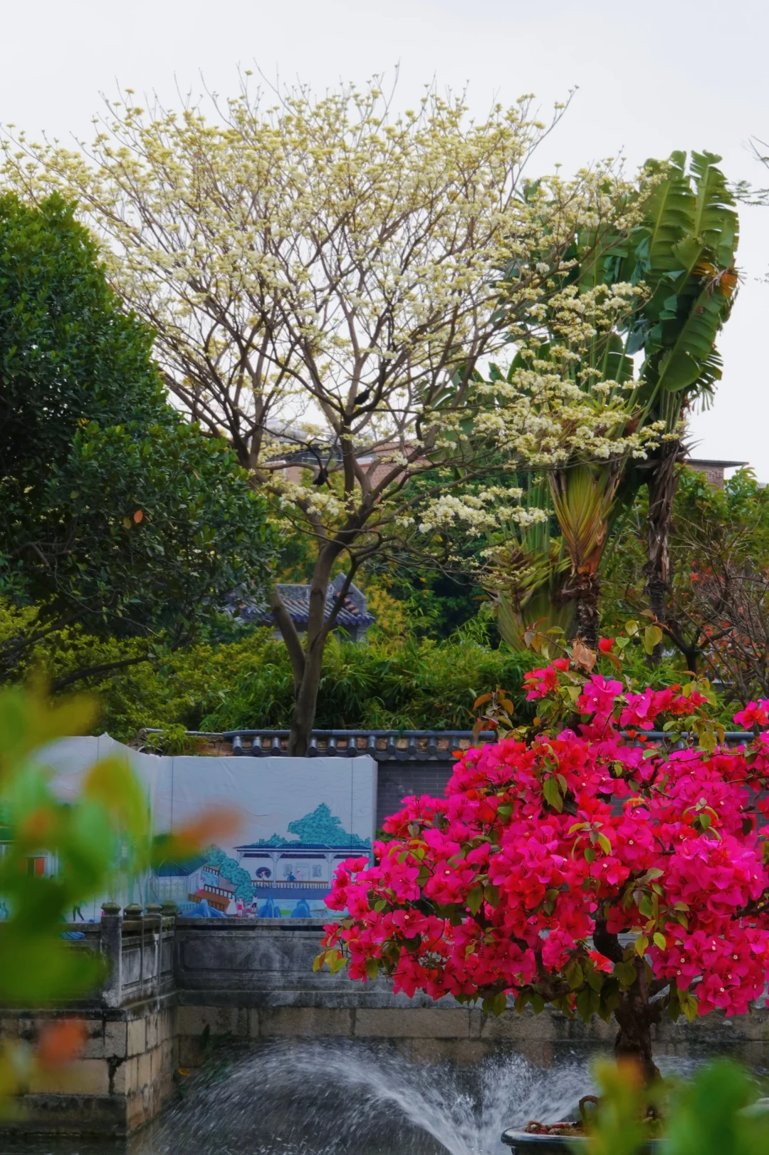 不是苏州,在广州‼️蕞喜欢的岭南园林出现了…