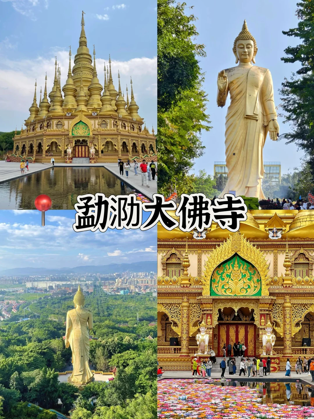 🌴西双版纳必打卡景点🔥热带风情拉满‼️