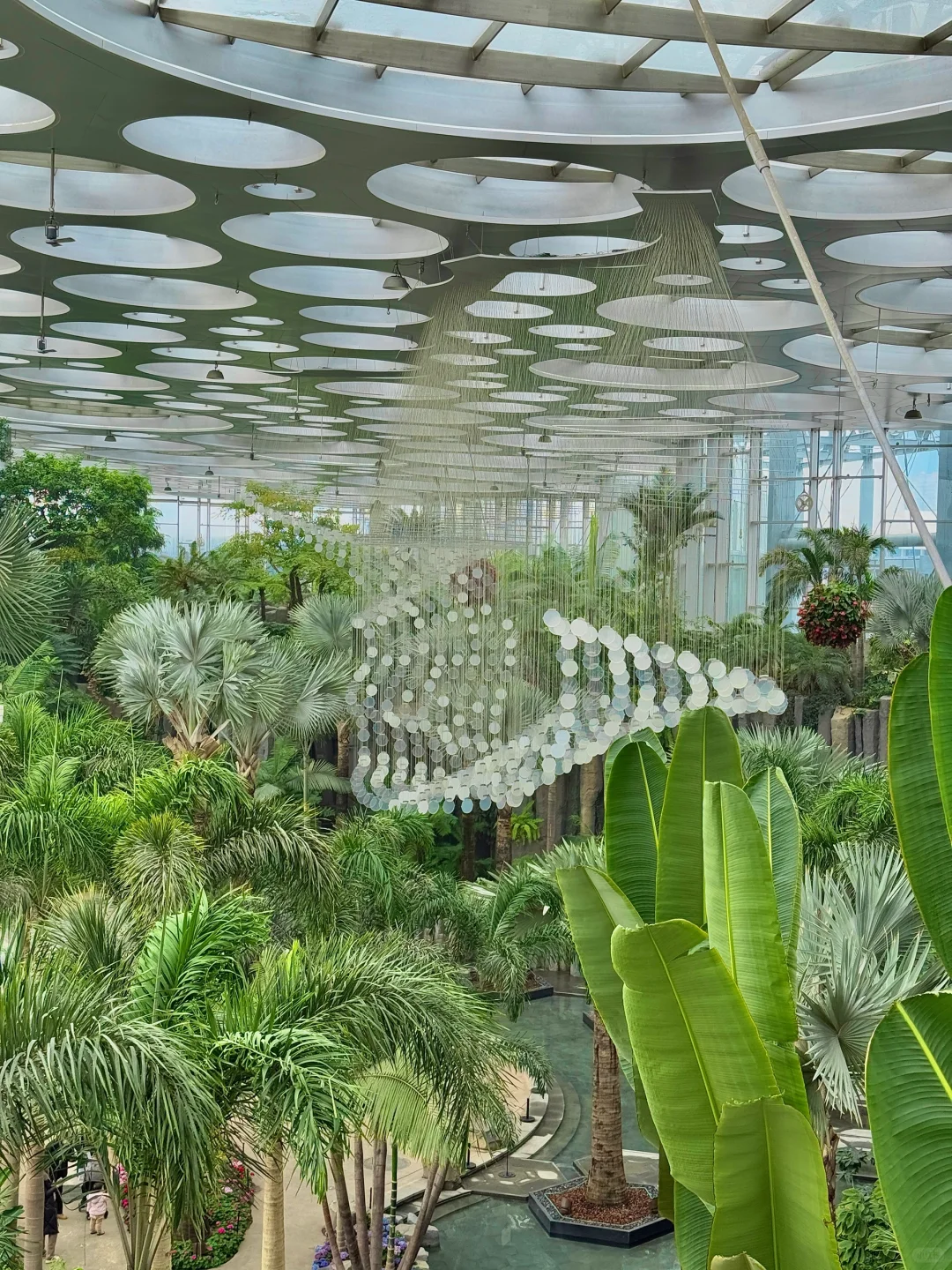 以为海洋馆够美了,直到去了水底森林🌳🫧……