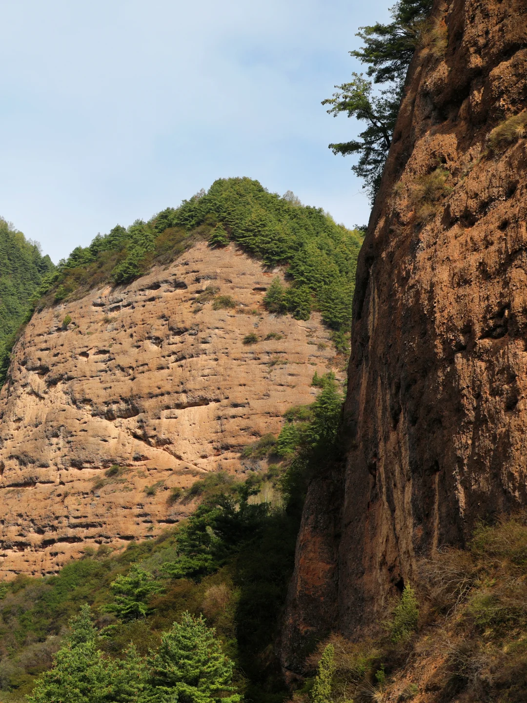 ❄️五月飞雪探秘记 | 渭源天井峡