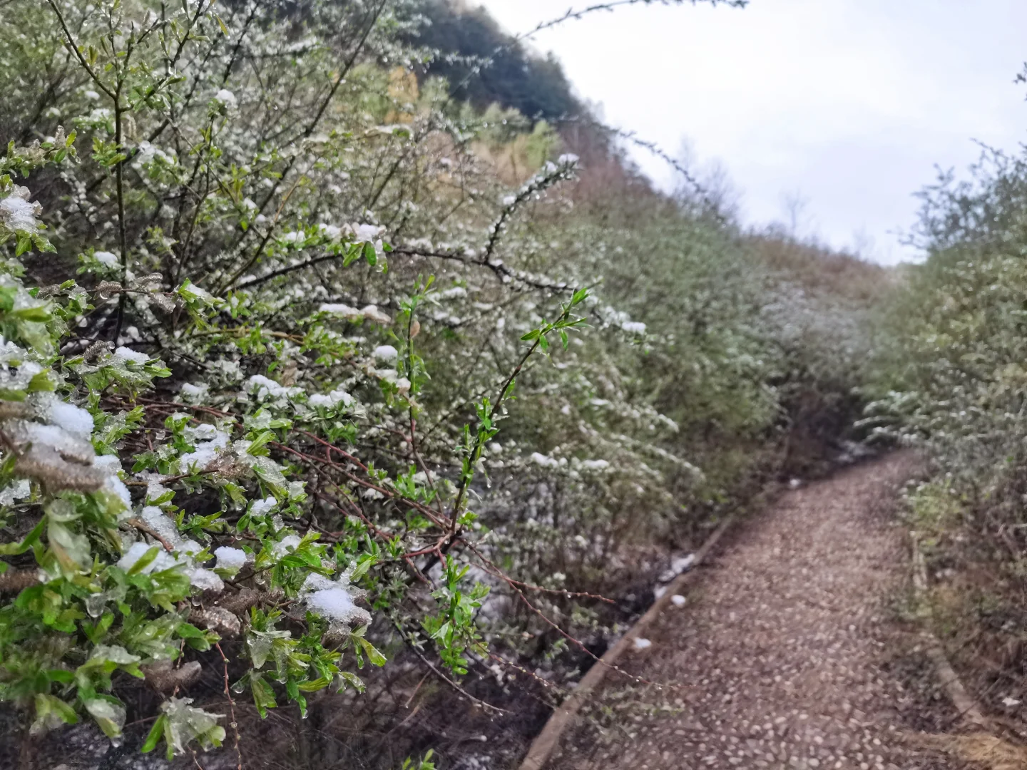 ❄️五月飞雪探秘记 | 渭源天井峡