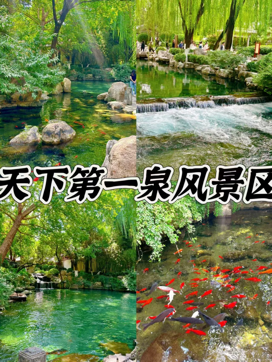 山东五一假期适合情侣出游的4个宝藏地点