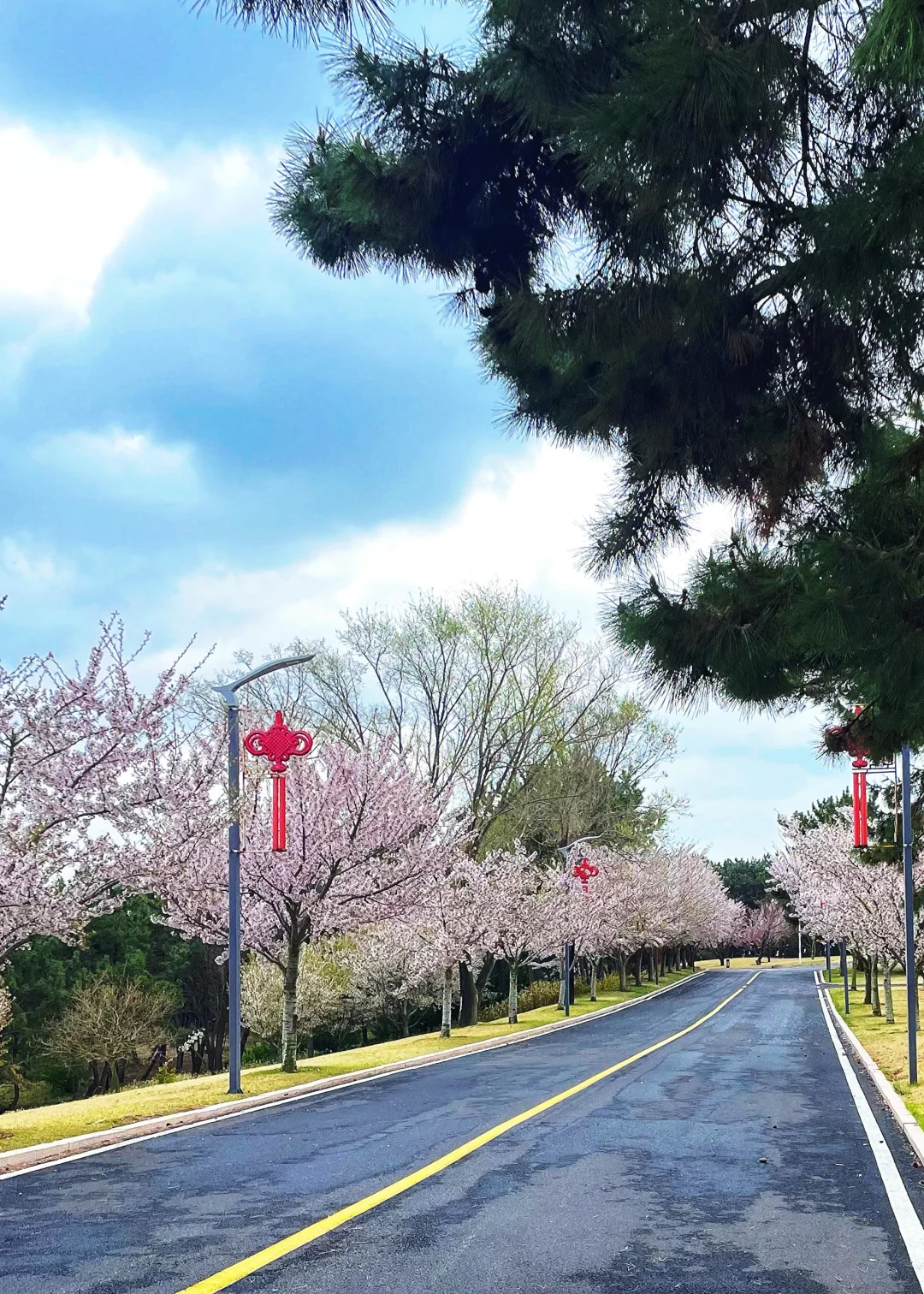 🌊 一个隐藏在胶东半岛的小众绝美秘境