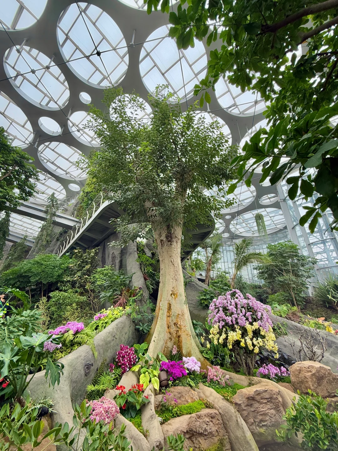 以为海洋馆够美了,直到去了水底森林🌳🫧……