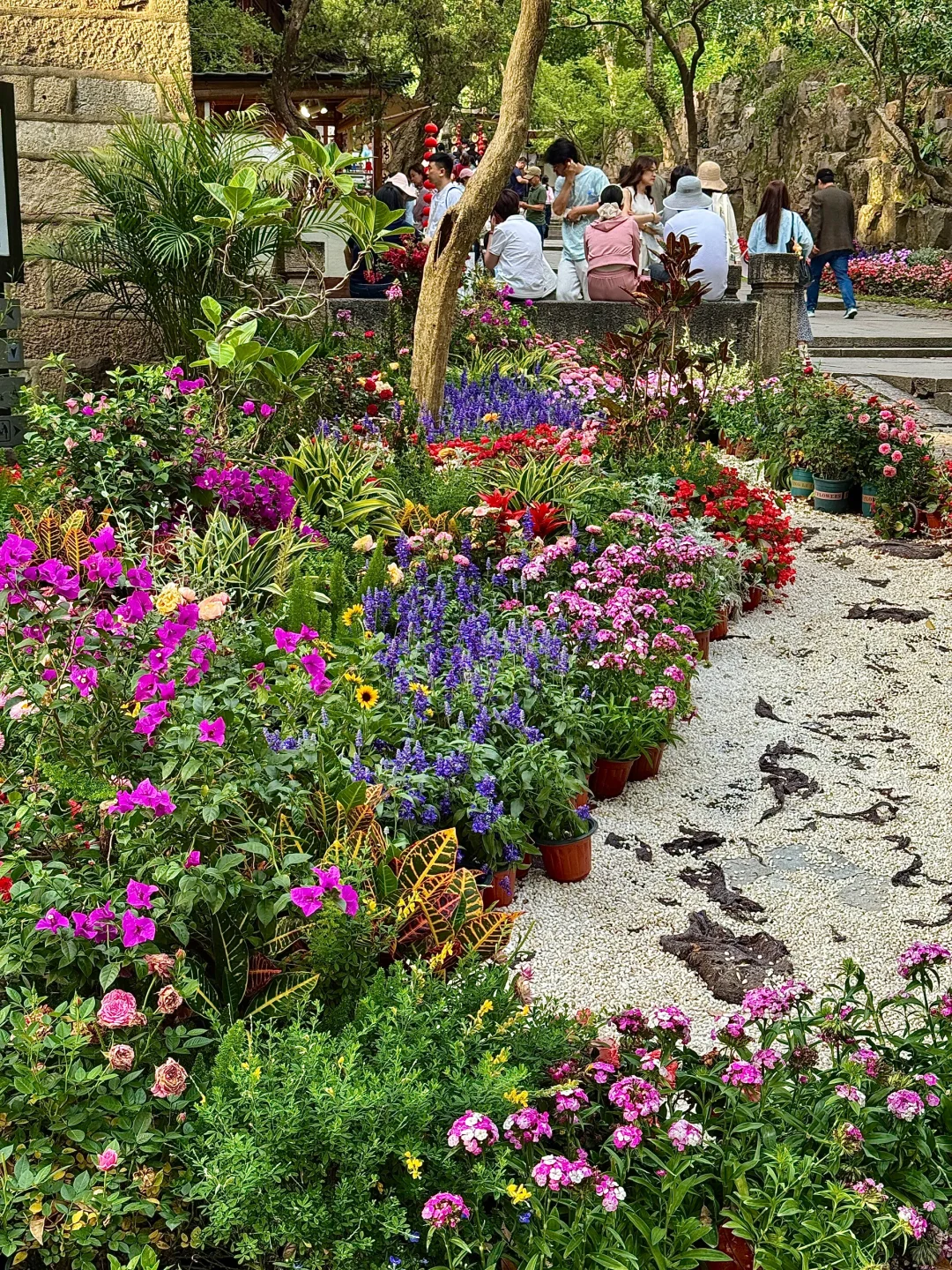 本苏州人第一次来虎丘景区 被圈粉！！