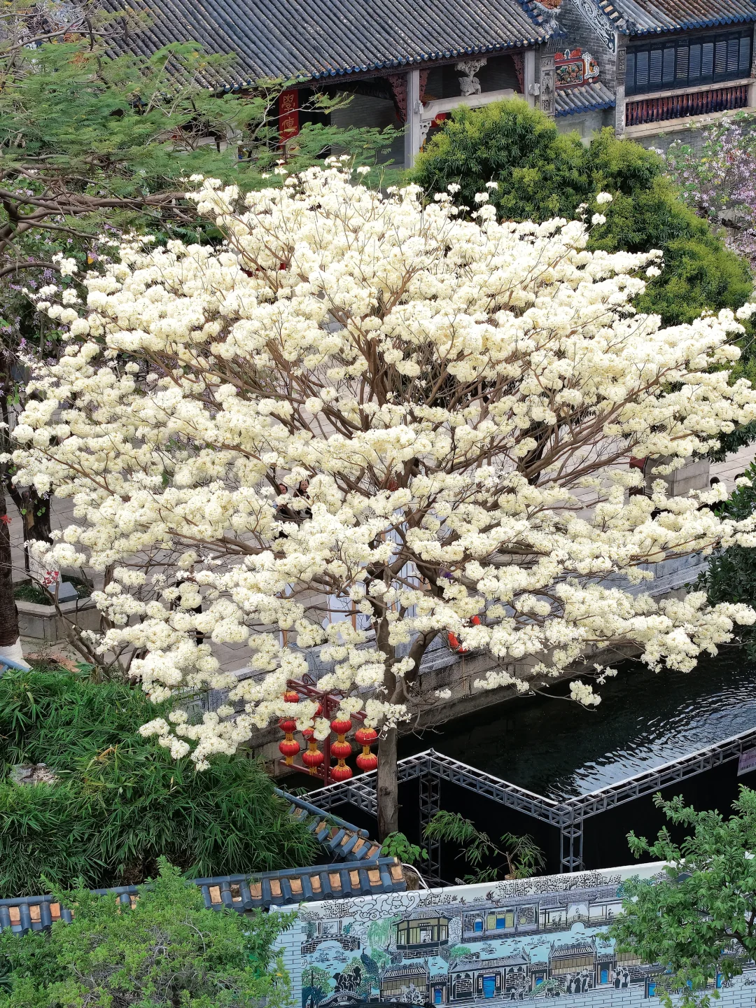 不是苏州,在广州‼️蕞喜欢的岭南园林出现了…