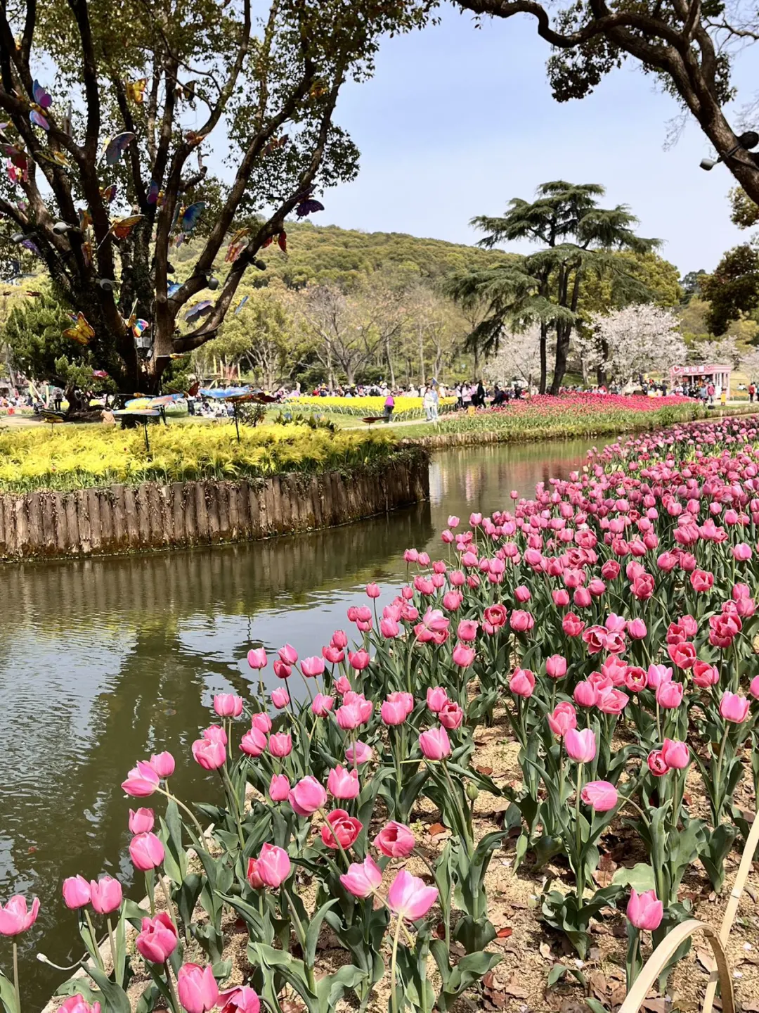 快收藏！无锡五一3日游，好吃好玩不绕路！