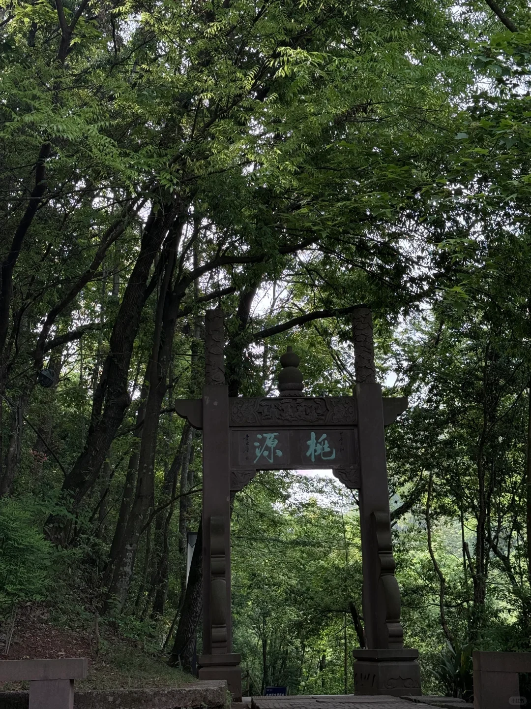 爬过众多名山 偏爱《剑来》提到的这座齐云山