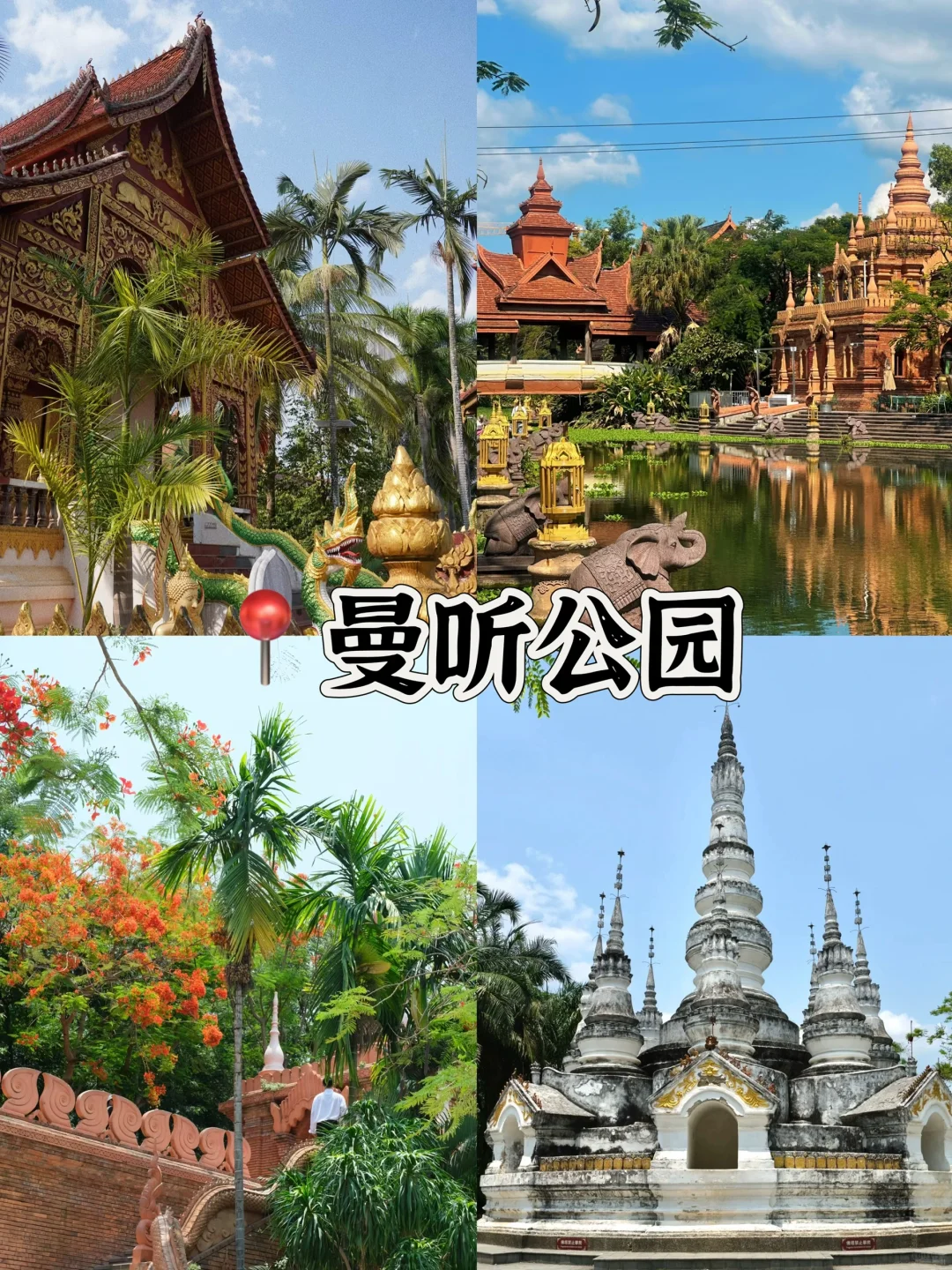 🌴西双版纳必打卡景点🔥热带风情拉满‼️