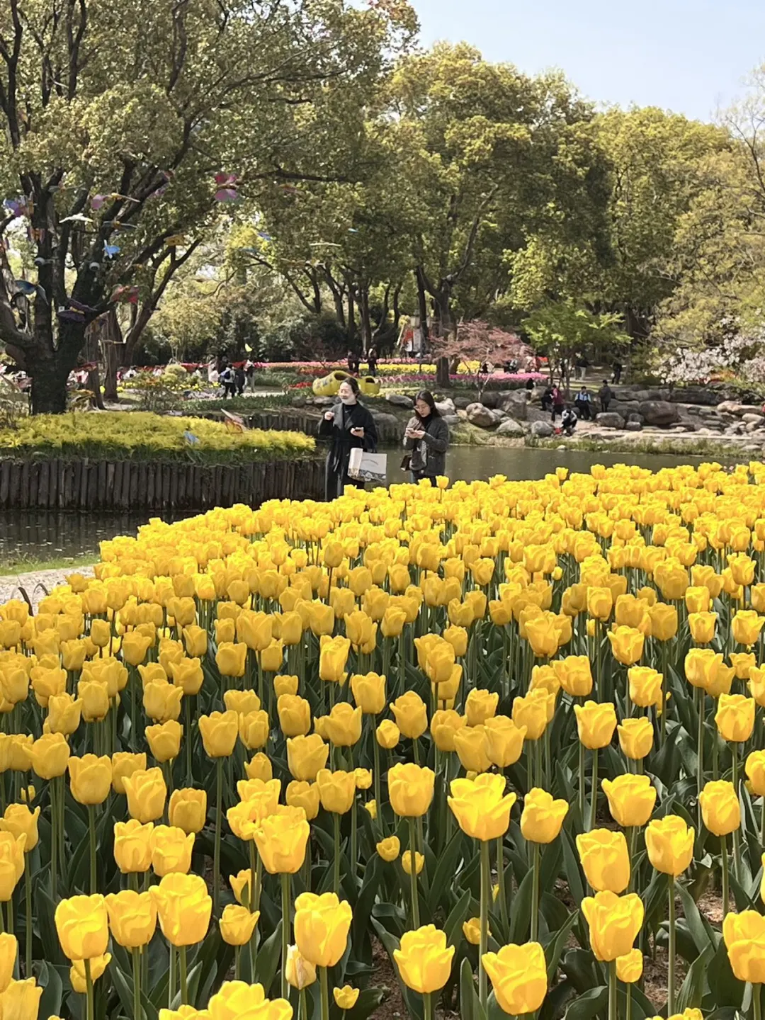 快收藏！无锡五一3日游，好吃好玩不绕路！