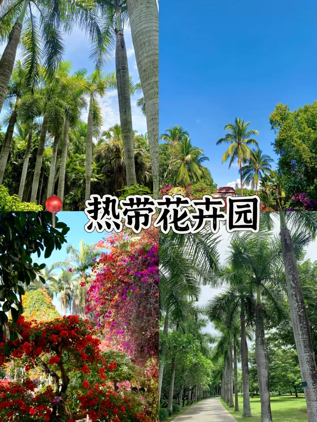 🌴西双版纳必打卡景点🔥热带风情拉满‼️