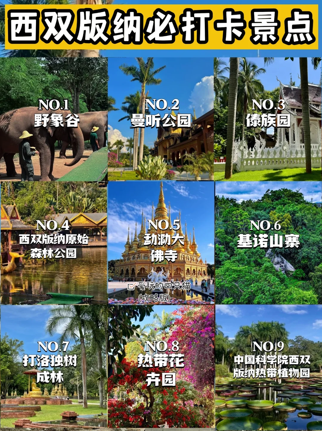 🌴西双版纳必打卡景点🔥热带风情拉满‼️