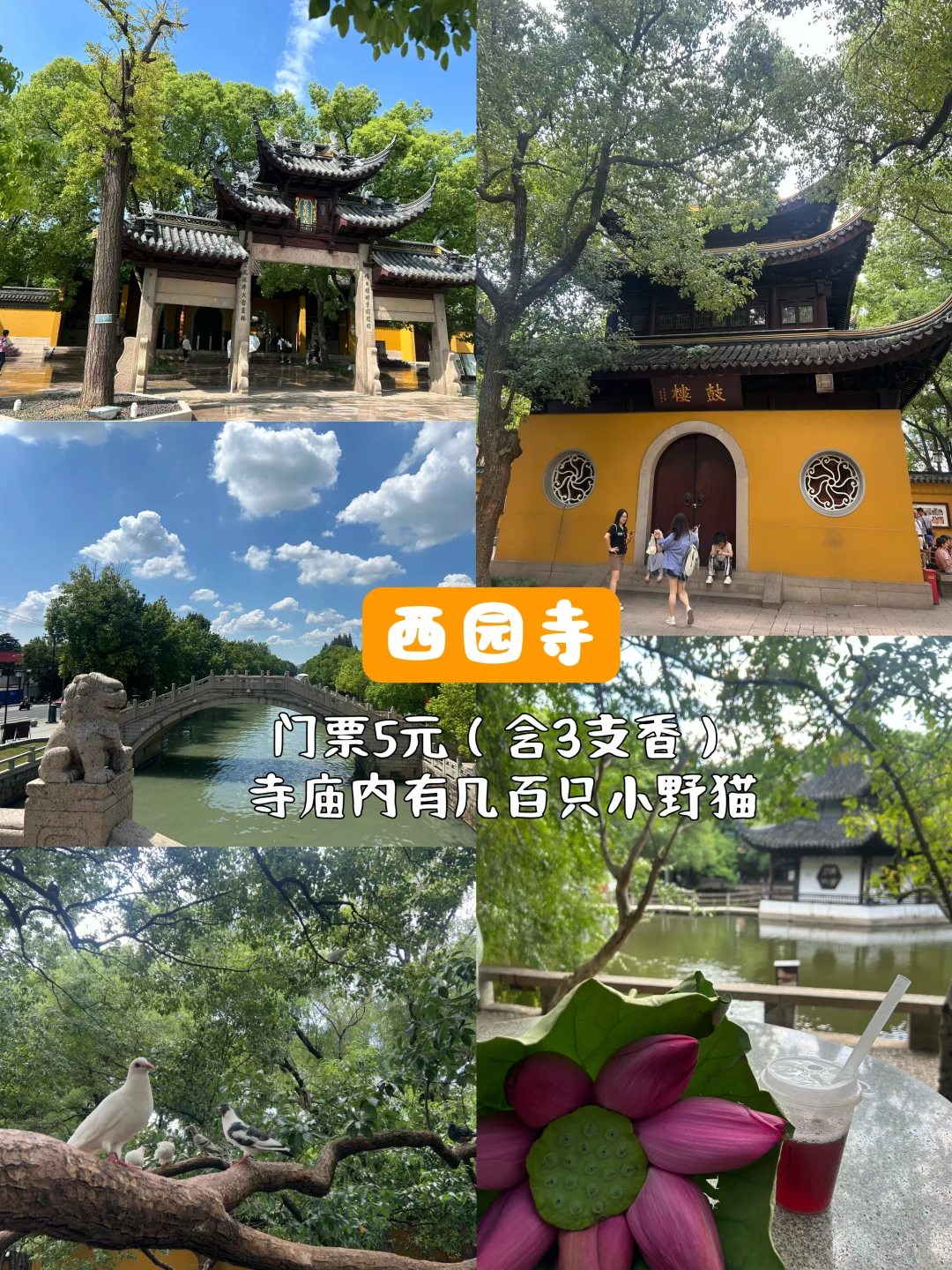 苏州省时省力攻略‼️自用路线总结‼️