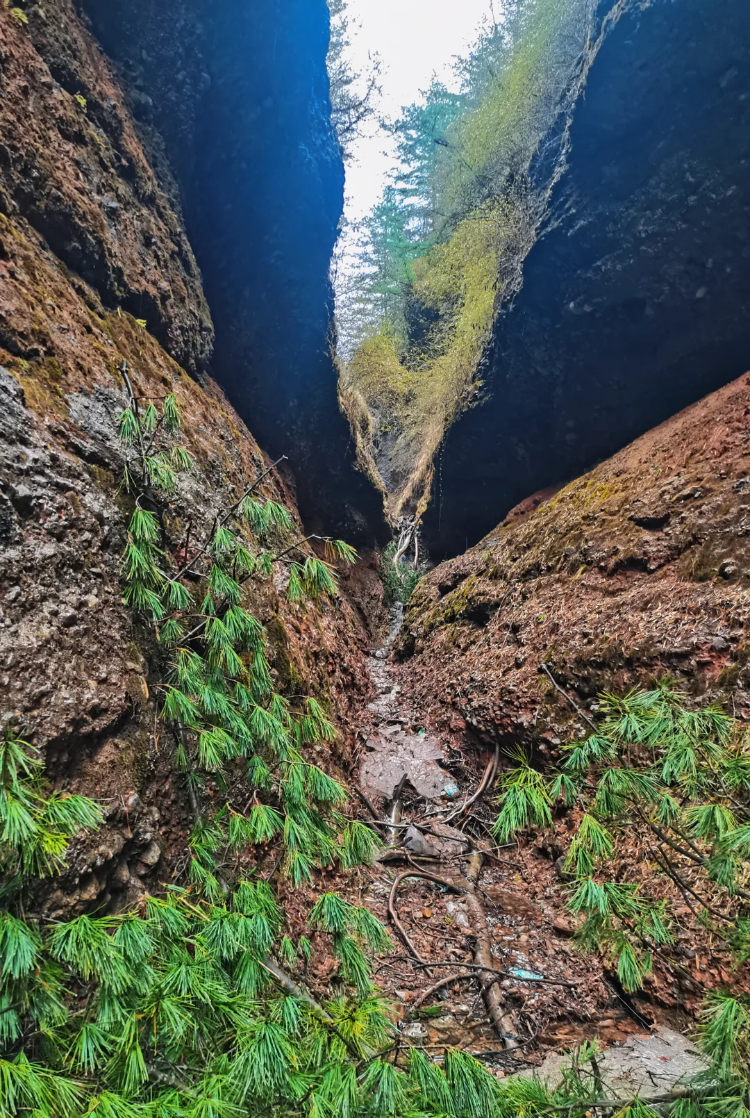 ❄️五月飞雪探秘记 | 渭源天井峡