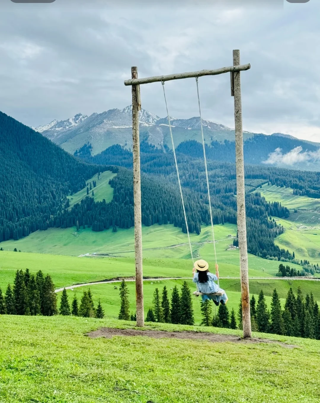 答应我❗这辈子一定不要放弃去新疆🐮🐑