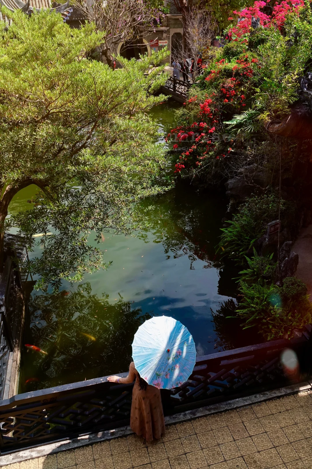 不是苏州,在广州‼️蕞喜欢的岭南园林出现了…