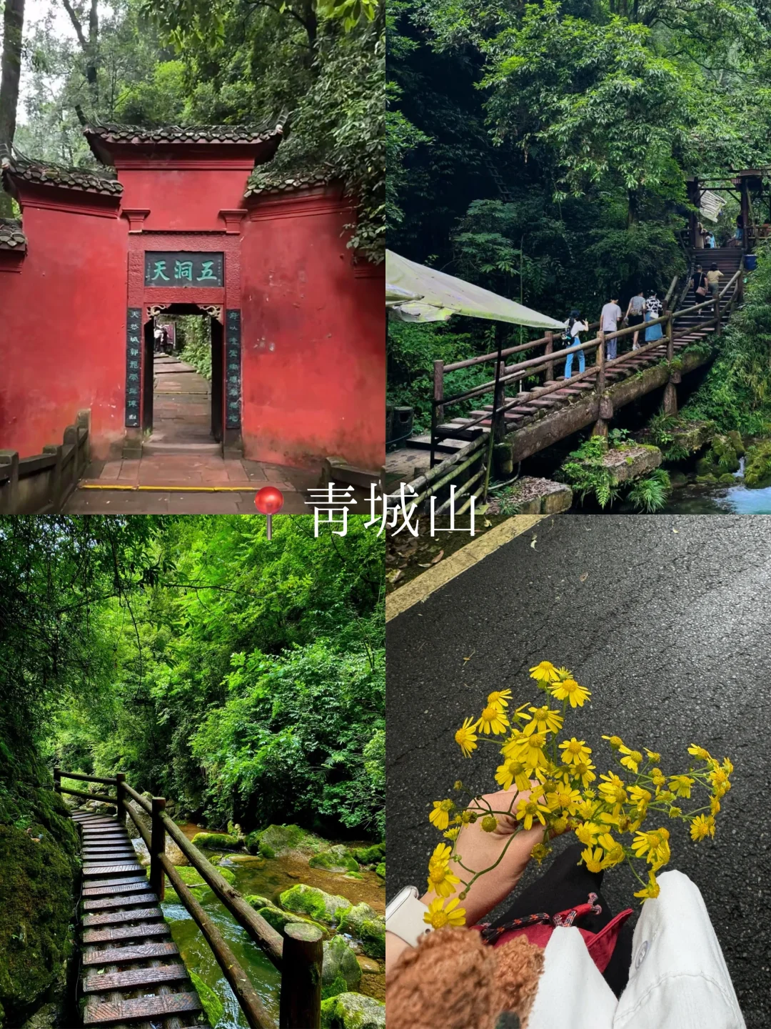 终于有人把成都三日游讲清楚了😅😅😅