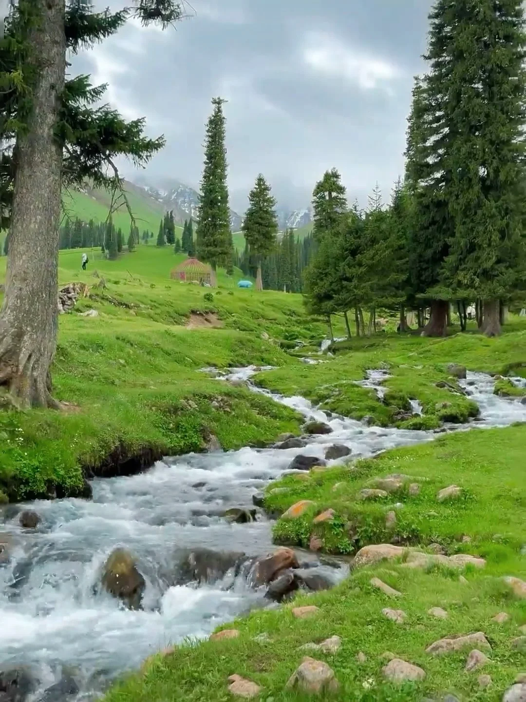 真的不在瑞士,是在五月新疆的小众㊙️境里🥰