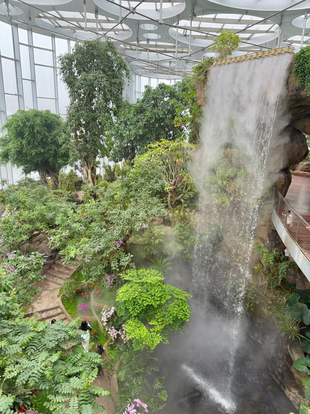 以为海洋馆够美了,直到去了水底森林🌳🫧……