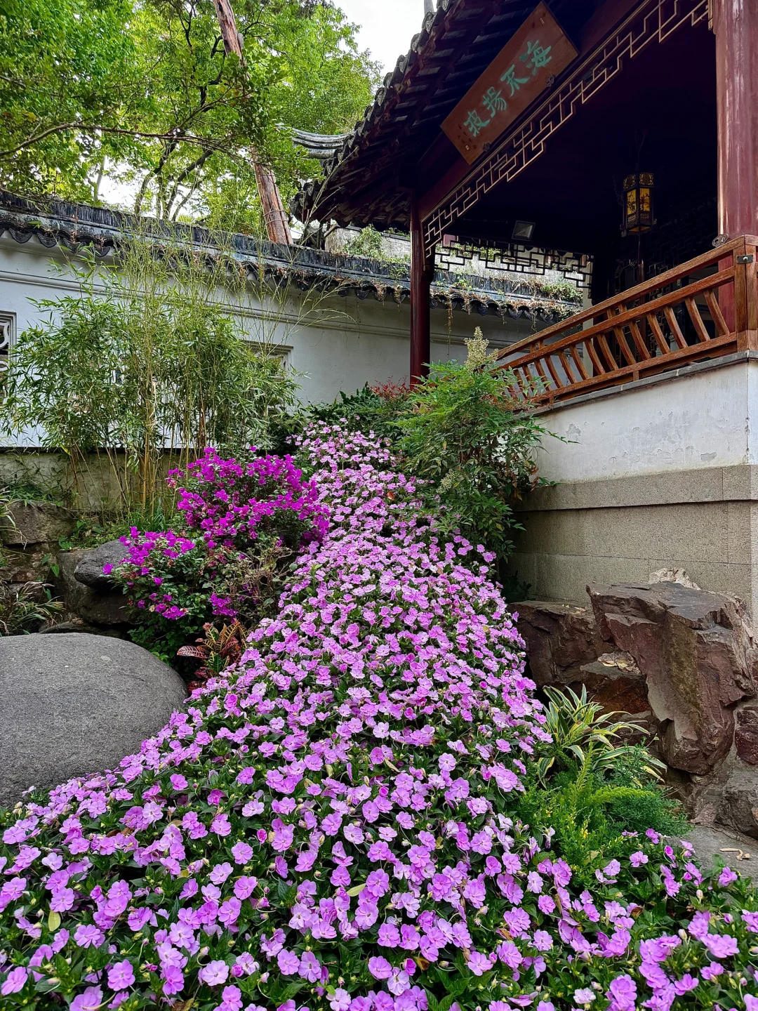 本苏州人第一次来虎丘景区 被圈粉！！