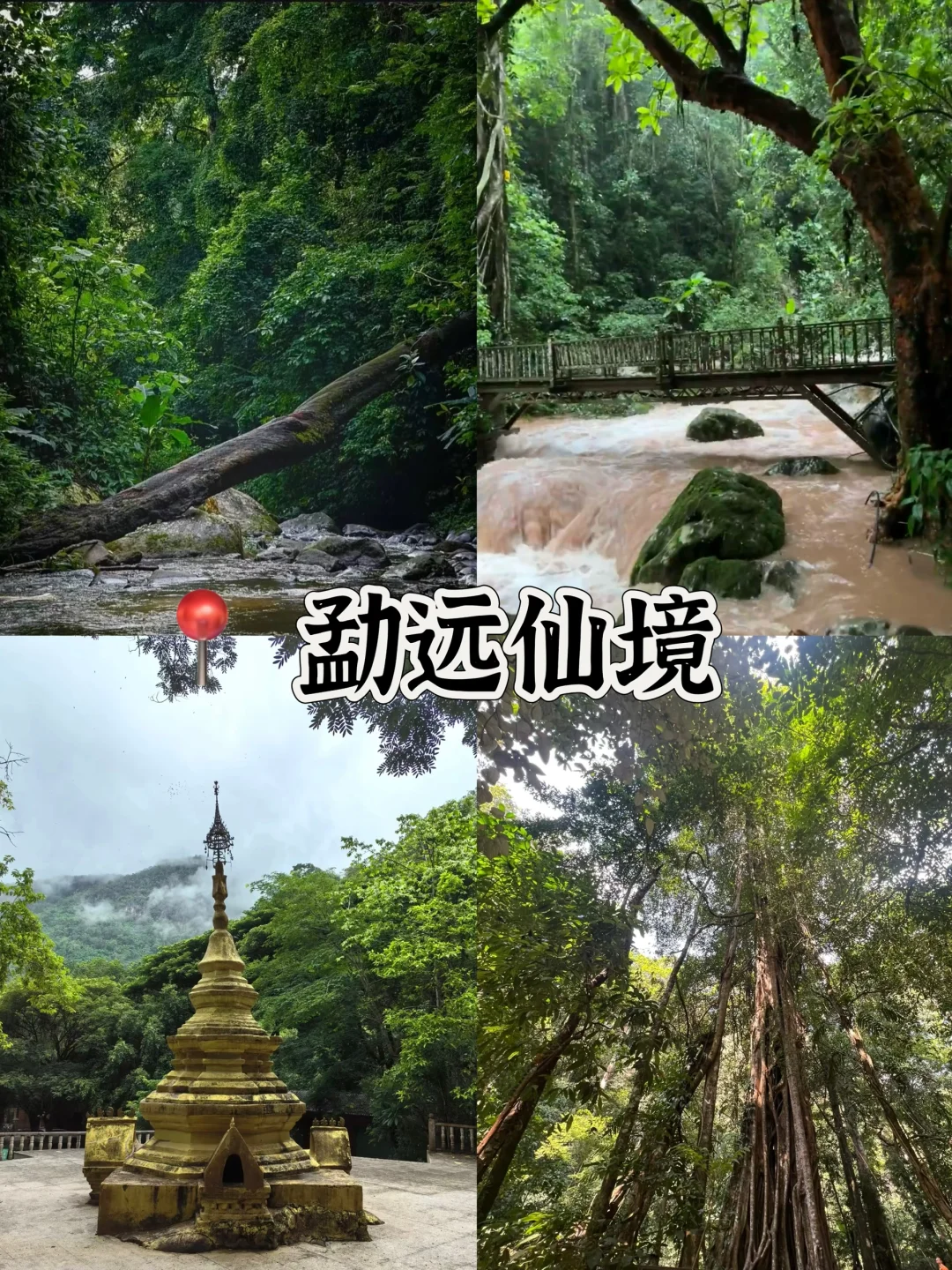 🌴西双版纳必打卡景点🔥热带风情拉满‼️