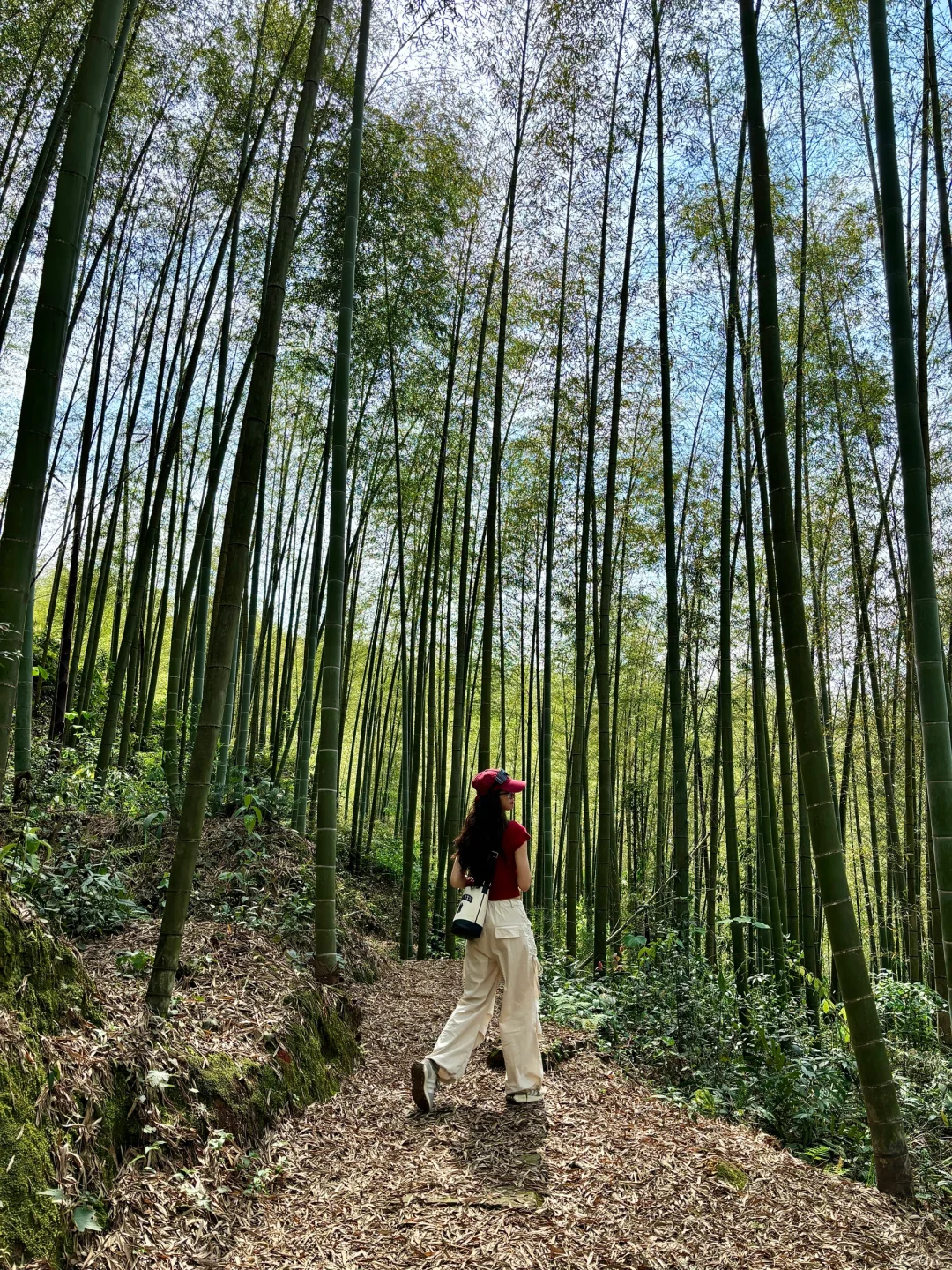 刚从贵州回来！这些景点不火我真的会哭😭
