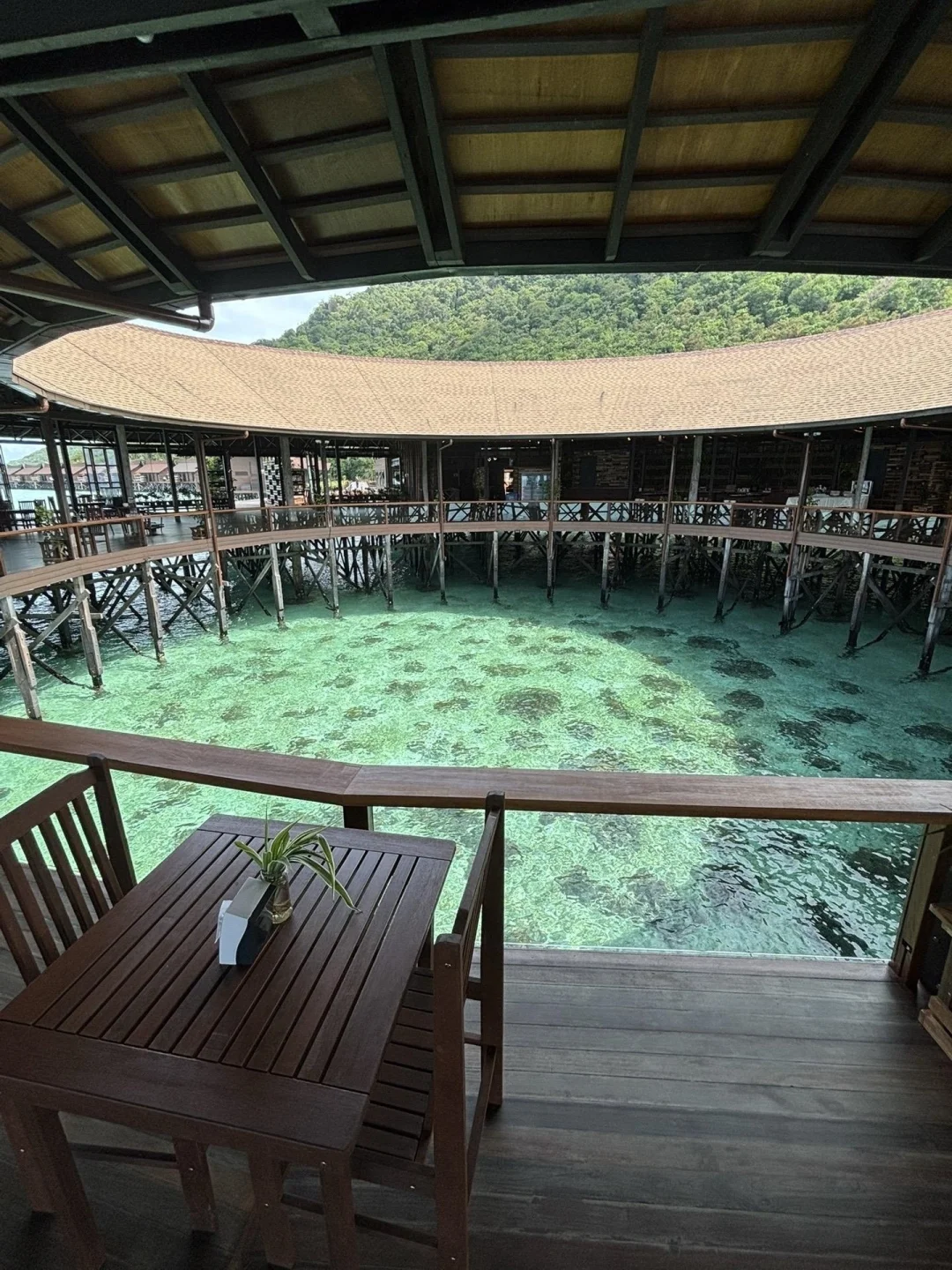 谁懂被自己做的仙本那旅游攻略满意的睡不着