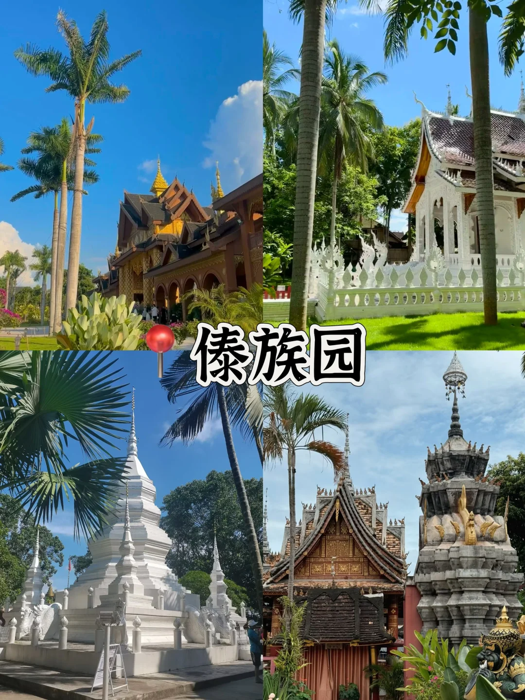 🌴西双版纳必打卡景点🔥热带风情拉满‼️